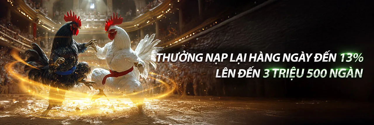 Đá Gà Trực Tiếp 8kbet Link